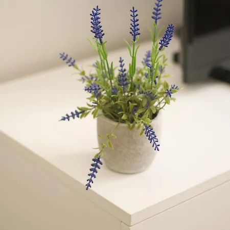 Le Nossa - Centre - Proche Halles Apartamento Lourdes