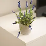 T2 Lumineux Et Cosy Idealement Situe アパート ルルド